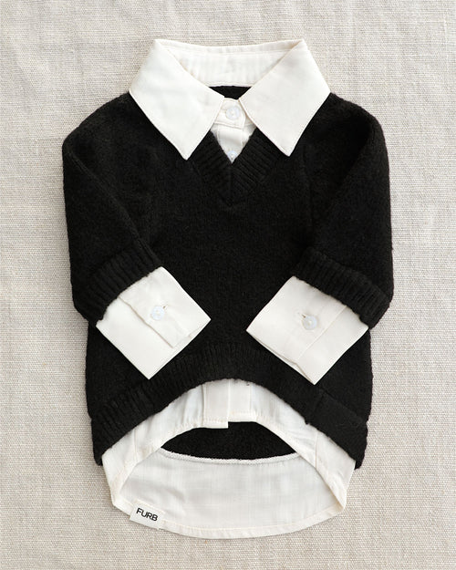 Like A Boss Two-fer Collared Black Dog Sweater
