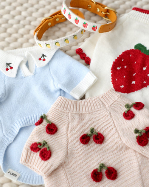Cherry On Top Light Blue Polo Dog Sweater