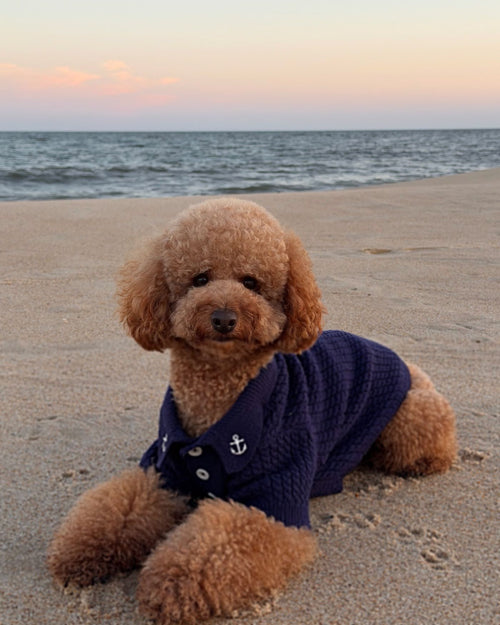 Little Skipper Navy Cable Knit Polo Sweater