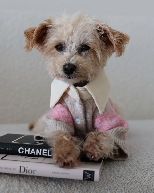 Prep School Pup Pink Striped Rugby Sweater