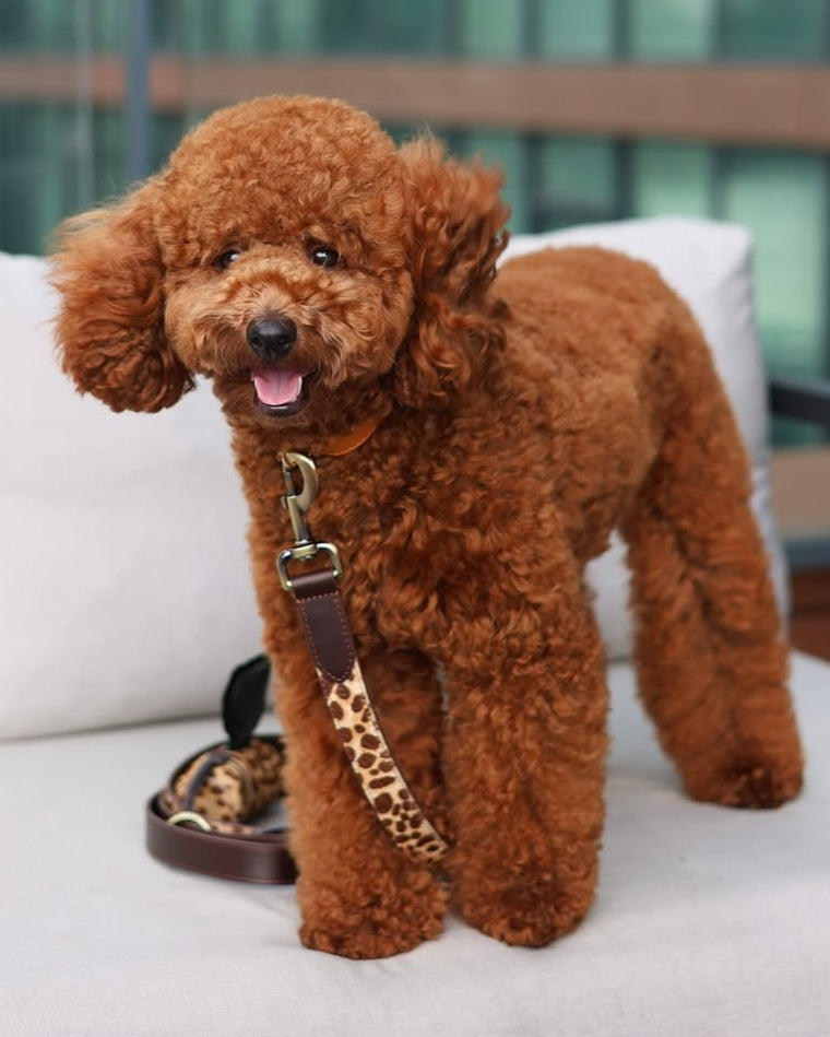 Wylde Brown Spotted Pony Fur Dog Leash