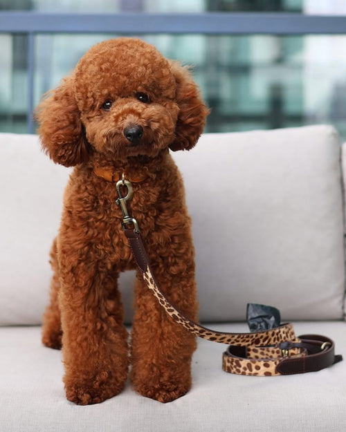 Wylde Brown Spotted Pony Fur Dog Leash