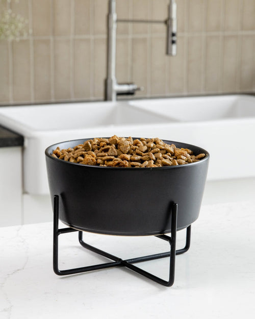 Bone Appétit Black Elevated Dog Bowl