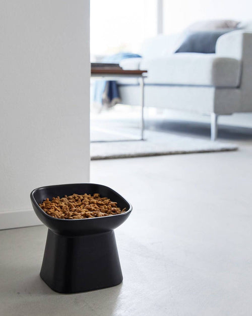 Café Canine Black Tilted Dog Bowl