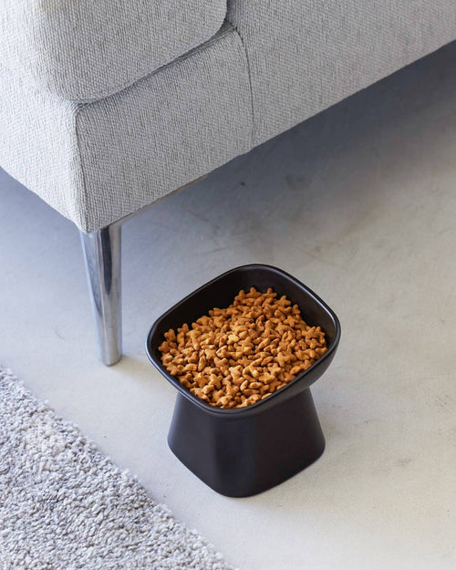 Café Canine Black Tilted Dog Bowl