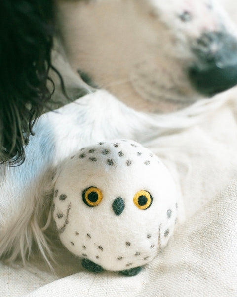 What A Hoot Snow Owl Wool Dog Toy
