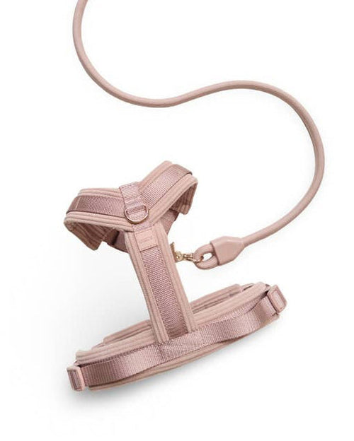 Sunday Stroll Blush Dog Harness