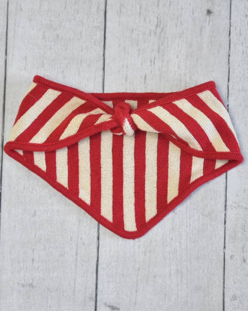 Small dog wearing knitted bandana, perfect holiday accessory.