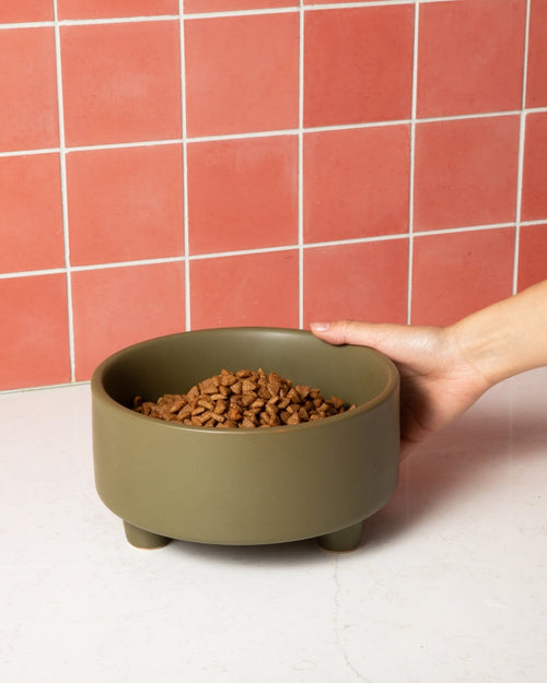 Treat Yourself Olive Ceramic Dog Bowl