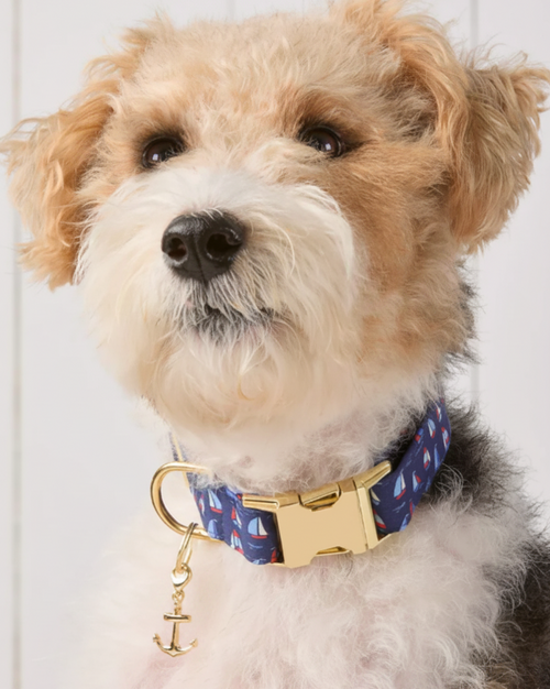 Gold Anchor Collar Charm