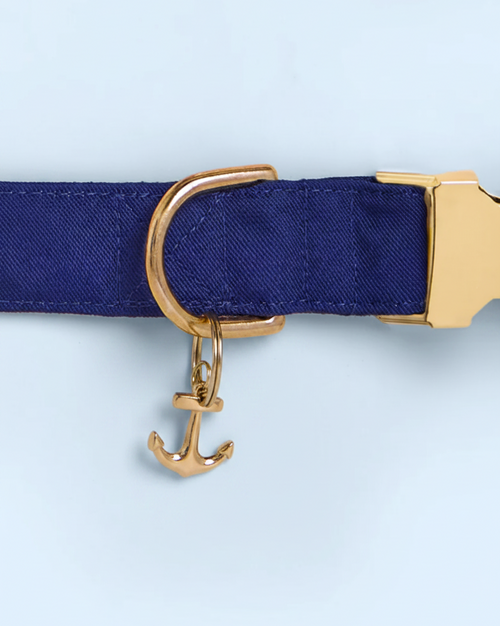 Gold Anchor Collar Charm