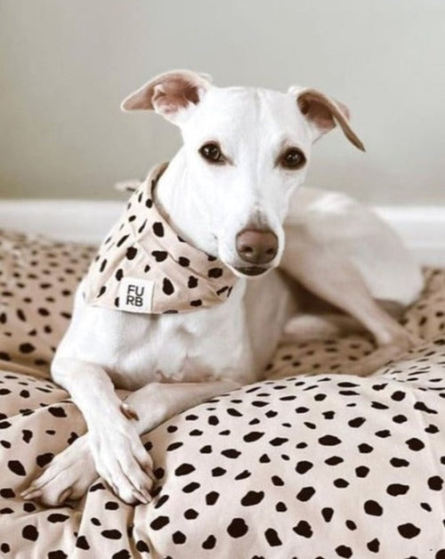 Apollo Dot Print Bandana Image