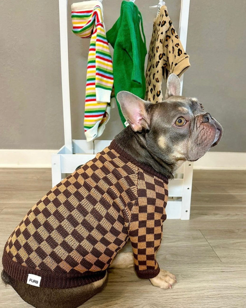 Light & Dark Brown Dog Sweater