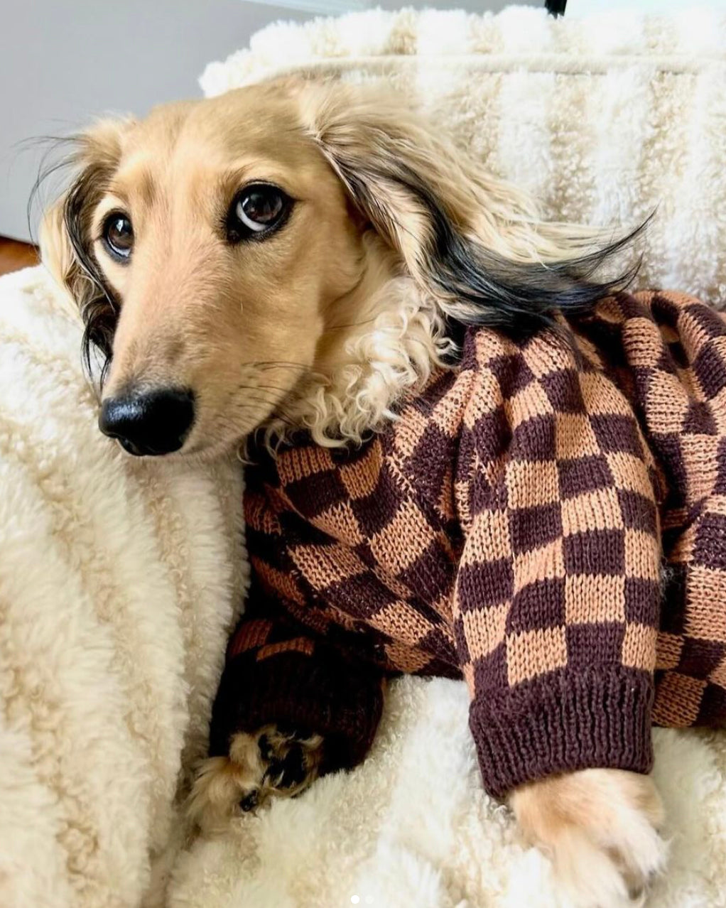 Light & Dark Brown Dog Sweater | Cute Checkerboard Pattern – FURB