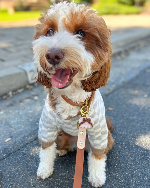Arlo Grey Check Dog Sweater