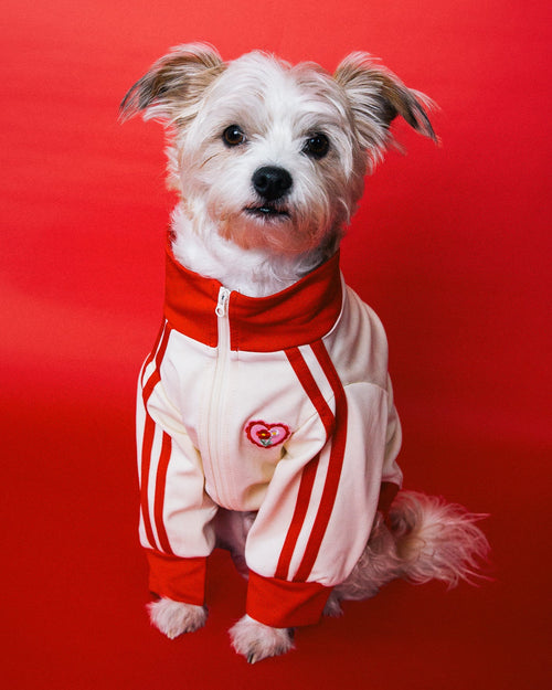 Team Captain Ivory + Red Track Jacket