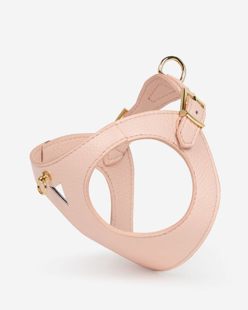 Front view of light pink leather dog harness, soft color and modern design