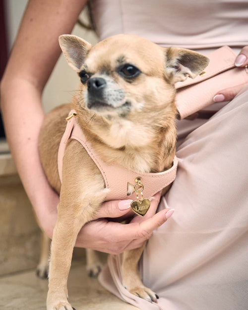 Luca Light Pink Leather Dog Harness