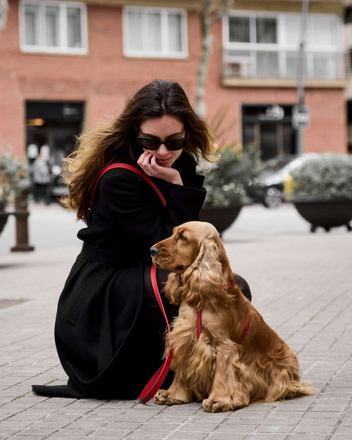  Premium red leather leash for modern pet accessories and daily walks . Updated May 2026.