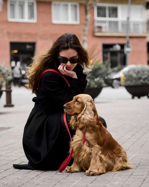 Palermo Harness Red Leather Walk Kit