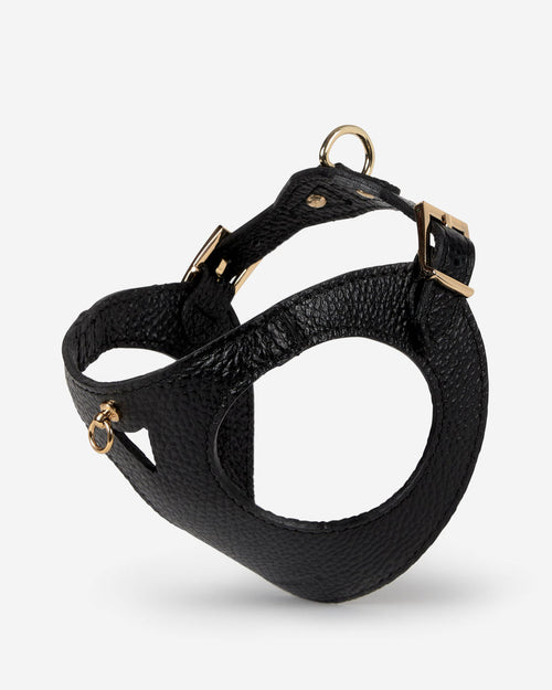 Luca black leather dog harness, front view, modern and comfortable for pets