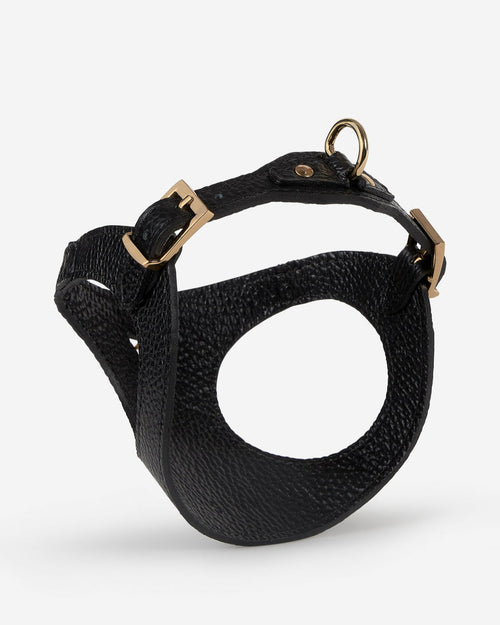 Back view of Luca black leather dog harness, secure fit for small dogs