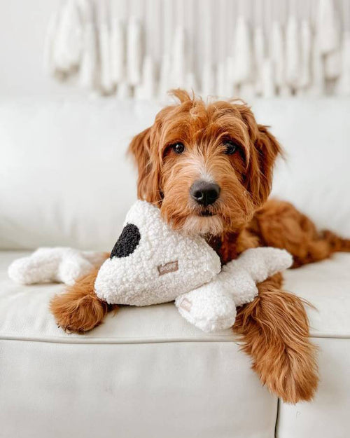 Boujee Boucle Dog Toy Trio