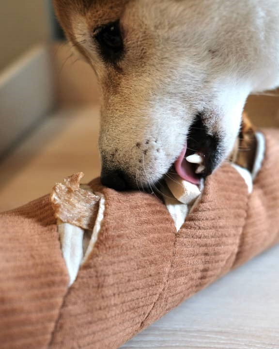 Can't Baguette Enough Dog Toy