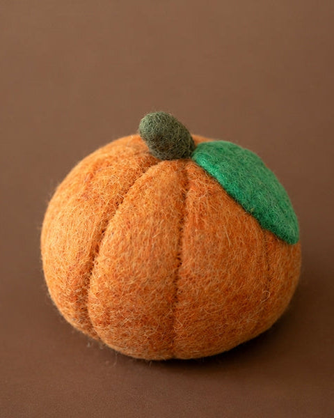 Oh My Gourd Pumpkin Wool Dog Toy