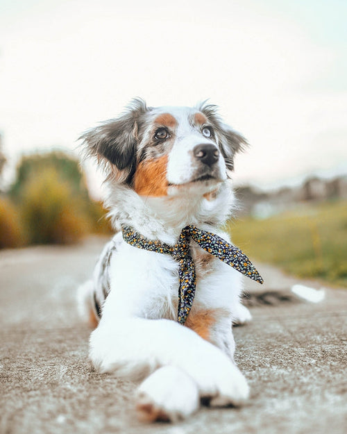 Wildflower Navy Floral Necktie