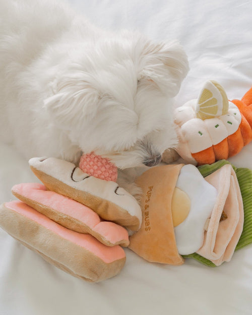 Berry On Top Snuffle Dog Toy