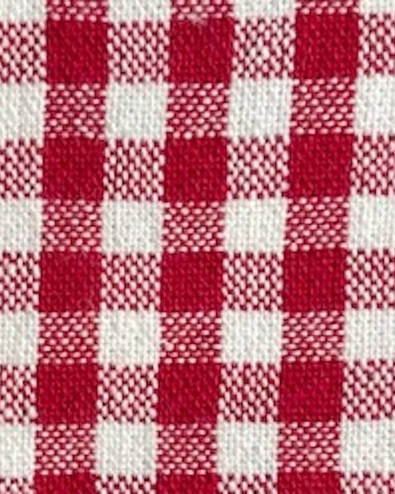 Cute to the Bone Red Gingham Dog Toy