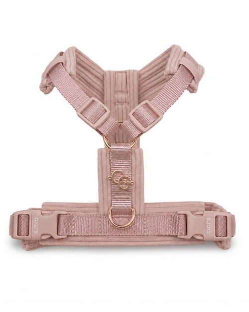 Sunday Stroll Blush Dog Harness