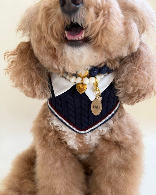Rhodes Reversible Navy Dog Bandana