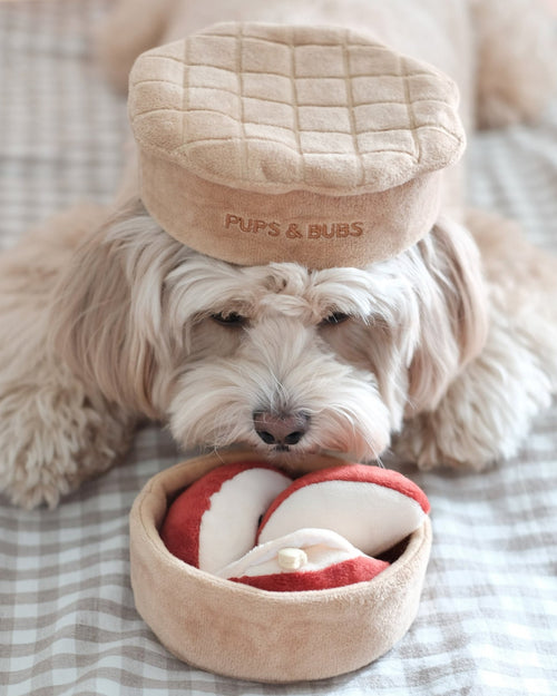 Sweet As Pie Snuffle Dog Toy