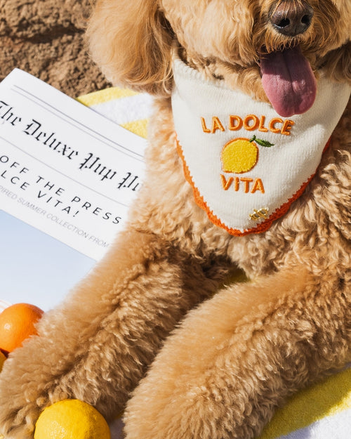 Dolce Days Dog Bandana
