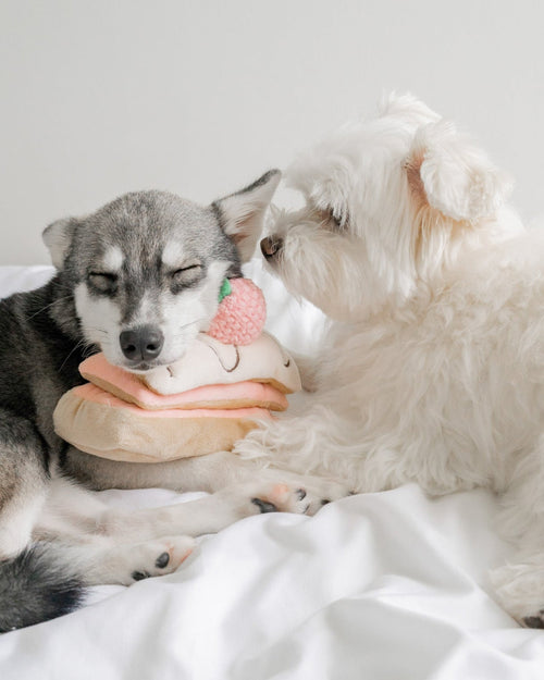 Berry On Top Snuffle Dog Toy