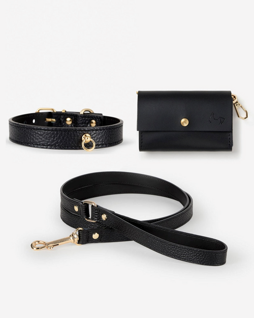 Nara black leather dog collar and leash kit, premium leather for secure and stylish small dog walks