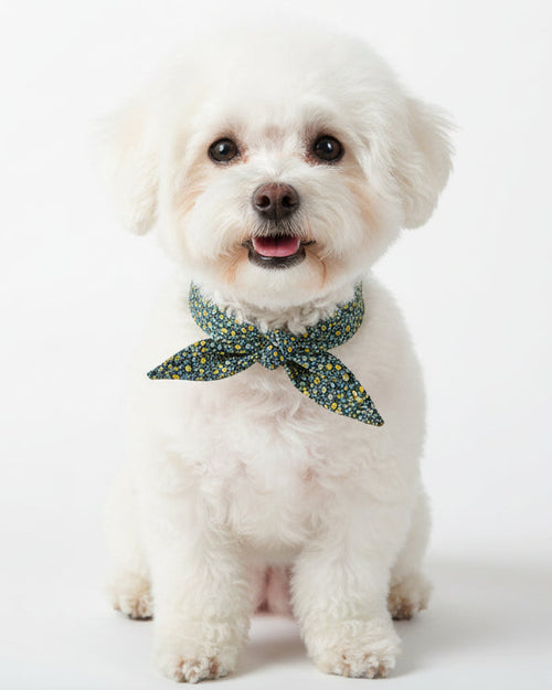 Wildflower Navy Floral Necktie