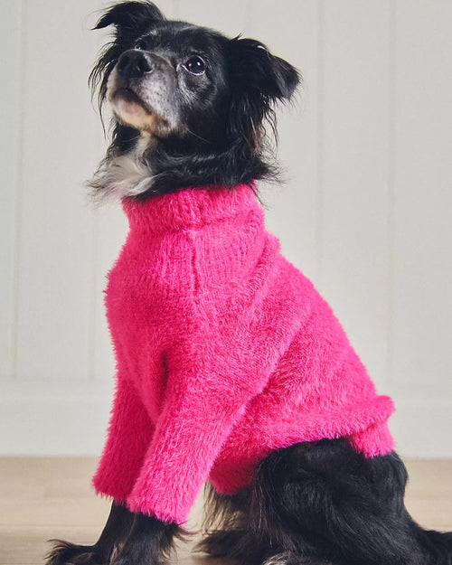 Trendy hot pink dog sweater with eyelash texture, ideal for small dogs in style.