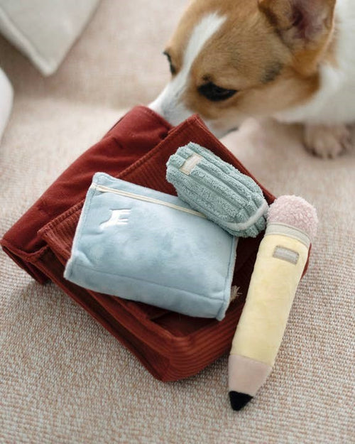 Little Learner 4-Piece Toy Set