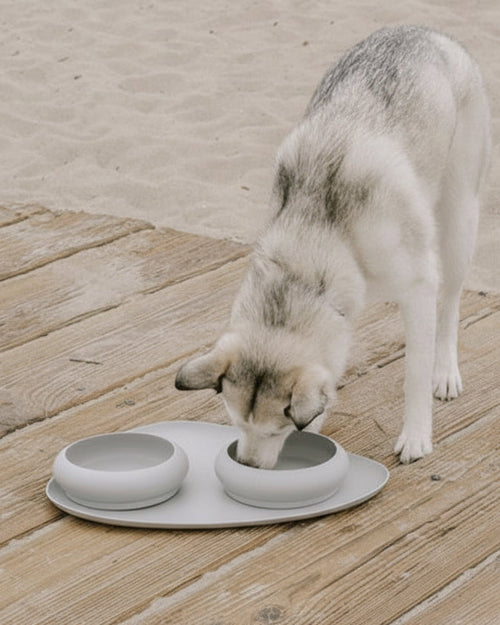 Dinner Is Served Bubble Bowl + Mat Set, Grey