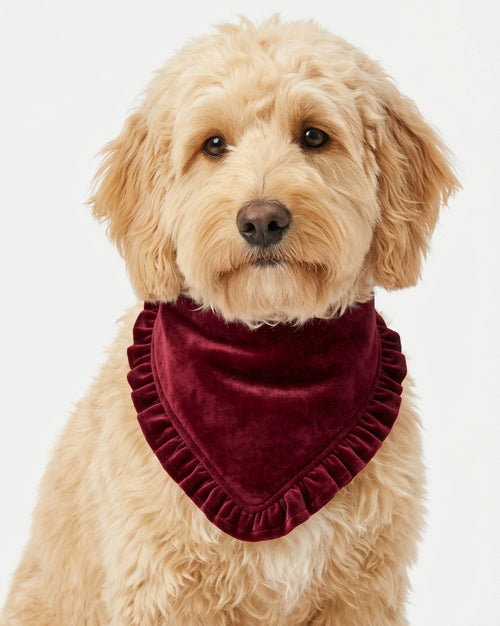 Velvet Noel Burgundy Ruffled Dog Bandana