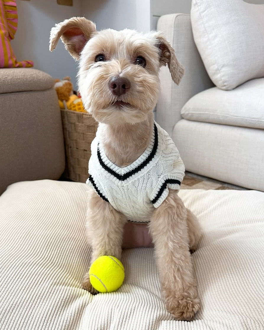 Ivory Cable Knit Dog Sweater – FURB