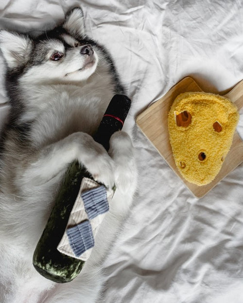 Fromage With Love Cheese Dog Toy