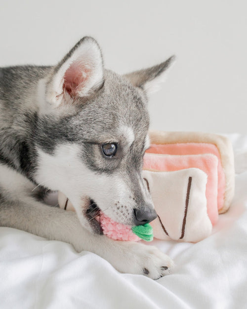 Berry On Top Snuffle Dog Toy