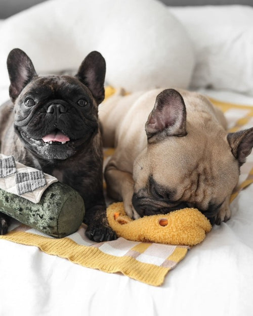 Fromage With Love Cheese Dog Toy