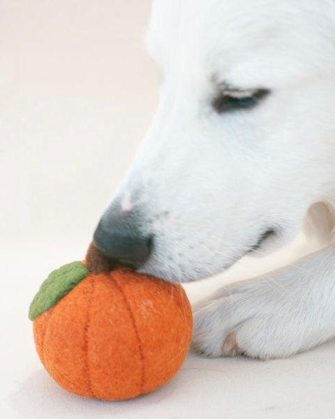 Oh My Gourd Pumpkin Wool Dog Toy