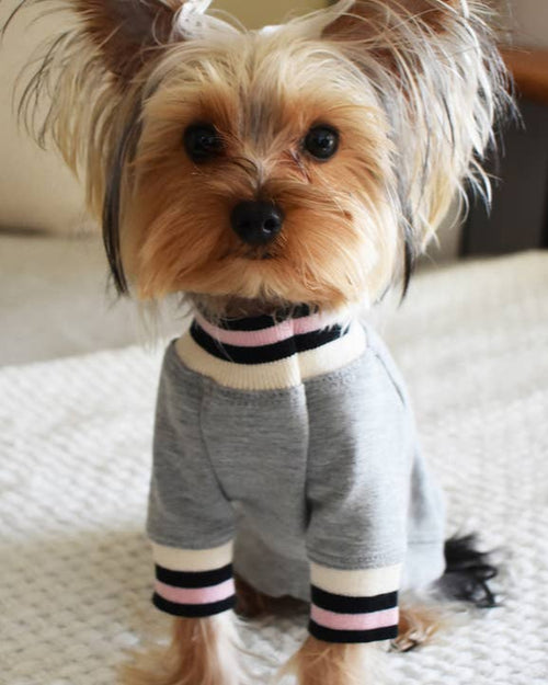 Stylish grey dog shirt, ideal for small to medium dogs like Beagles and Cocker Spaniels.