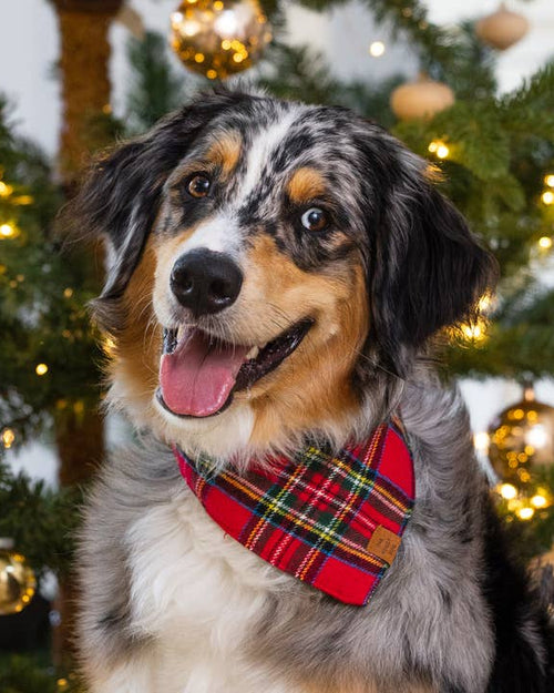 Tartan Tidings Flannel Dog Bandana